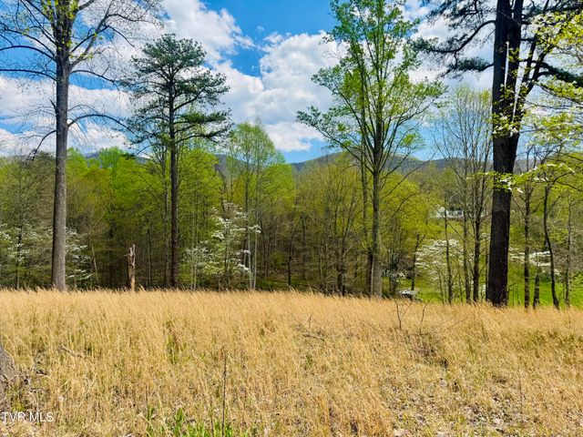 160 Bob S Hollow Road, Elizabethton, TN 37643