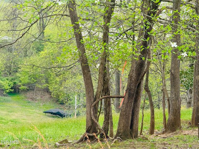 160 Bob S Hollow Road, Elizabethton, TN 37643