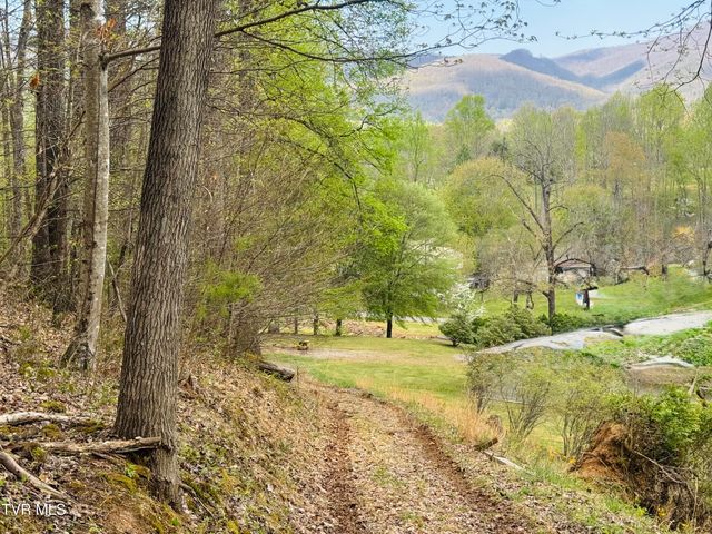 160 Bob S Hollow Road, Elizabethton, TN 37643