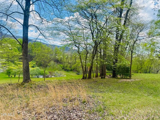 160 Bob S Hollow Road, Elizabethton, TN 37643