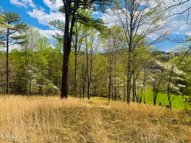 160 Bob S Hollow Road, Elizabethton, TN 37643