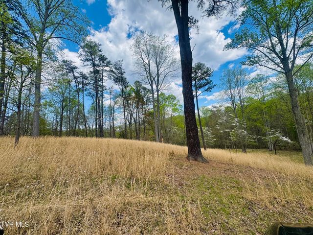 160 Bob S Hollow Road, Elizabethton, TN 37643