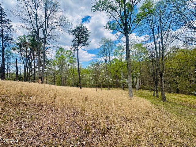 160 Bob S Hollow Road, Elizabethton, TN 37643