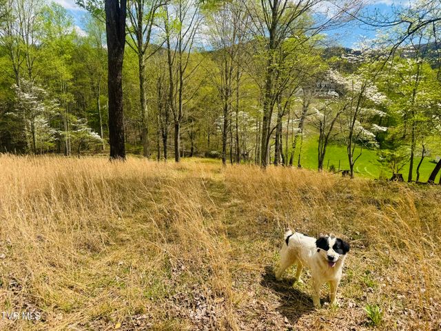 160 Bob S Hollow Road, Elizabethton, TN 37643