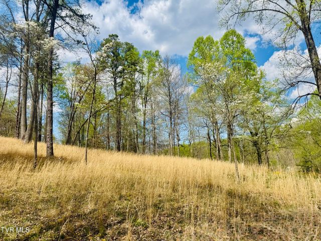 160 Bob S Hollow Road, Elizabethton, TN 37643