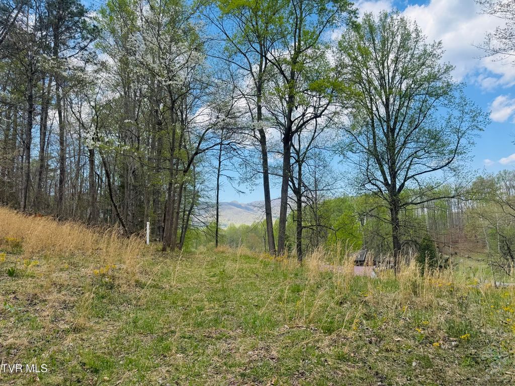 160 Bob S Hollow Road, Elizabethton, TN 37643