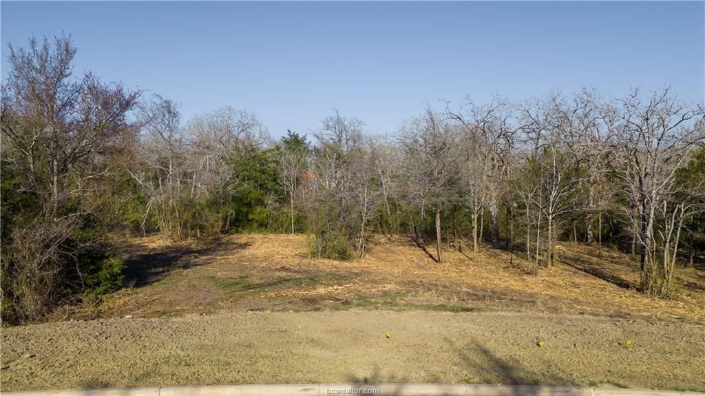 3325 Stephans Crossing, Bryan, TX 77807