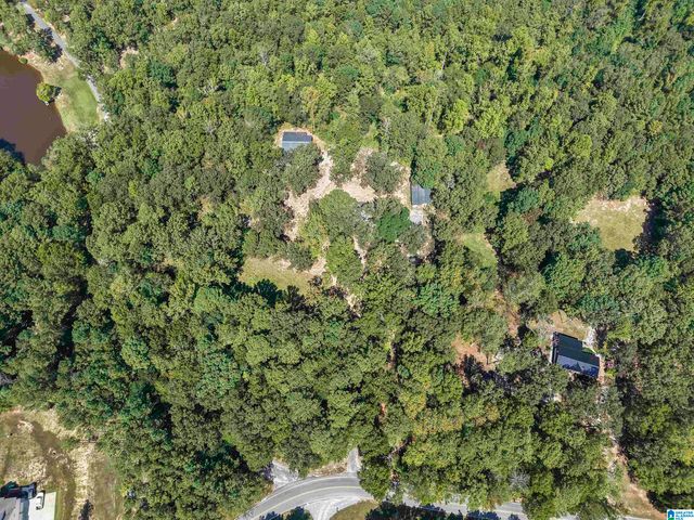 640 GRIFFIN ROAD, Chelsea, AL 35043