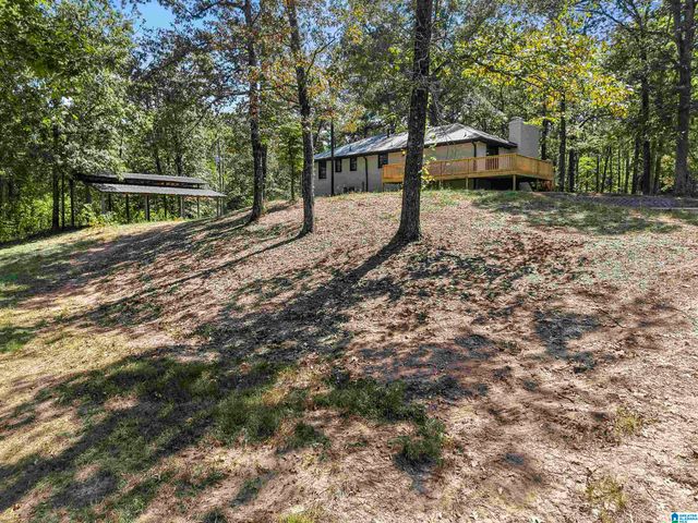 640 GRIFFIN ROAD, Chelsea, AL 35043