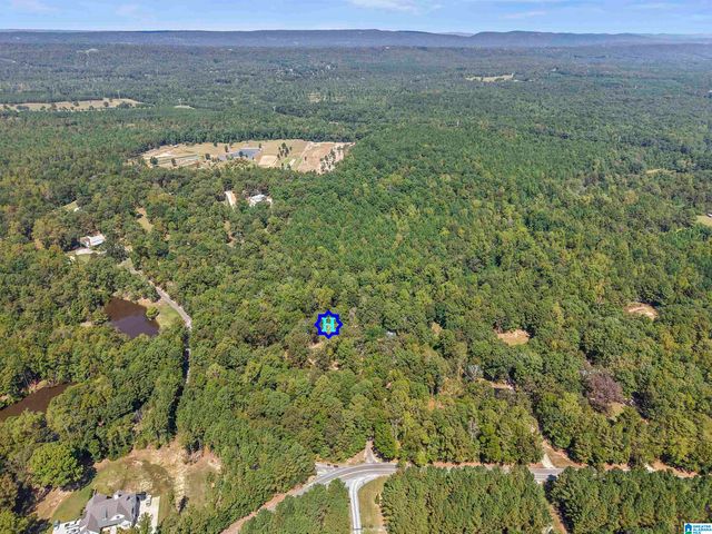 640 GRIFFIN ROAD, Chelsea, AL 35043