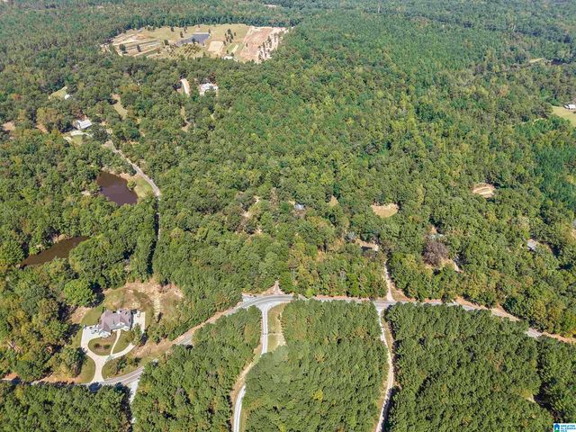 640 GRIFFIN ROAD, Chelsea, AL 35043