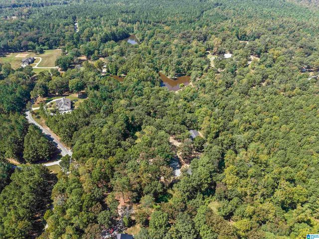 640 GRIFFIN ROAD, Chelsea, AL 35043