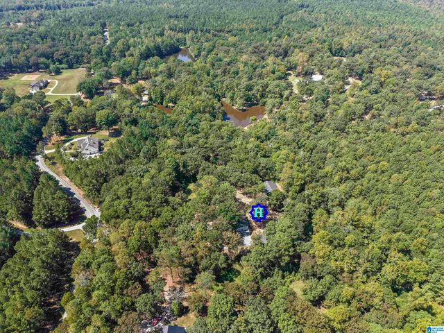 640 GRIFFIN ROAD, Chelsea, AL 35043