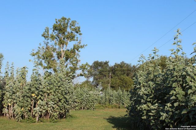 LOT 9 Wisteria Lane, Smiley, TX 78159