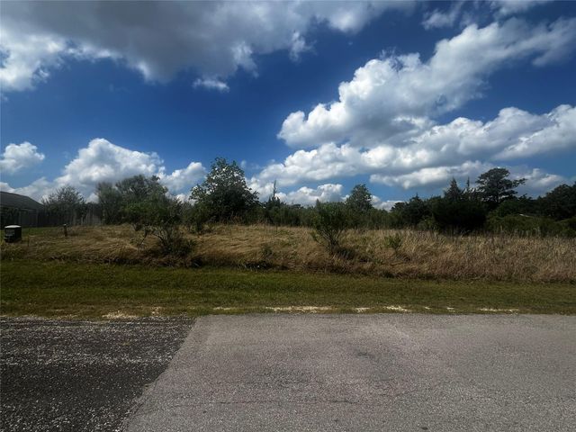170 N Pine Harbour Drive, Coldspring, TX 77331