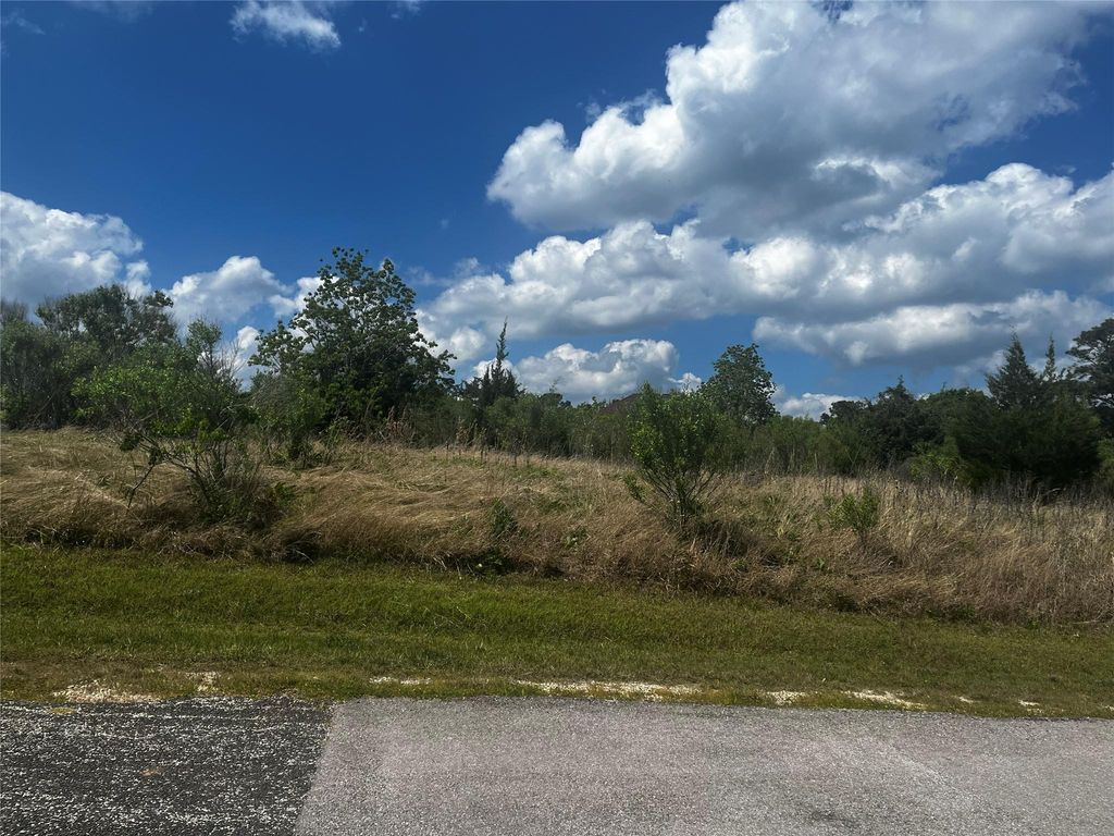 170 N Pine Harbour Drive, Coldspring, TX 77331