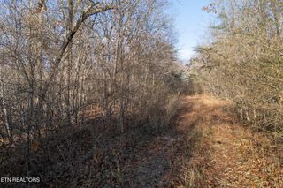 Lot 1735 Satsuma Drive, Crossville, TN 38555