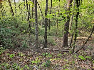 0 Huntington Road 54, Lake Lure, NC 28746