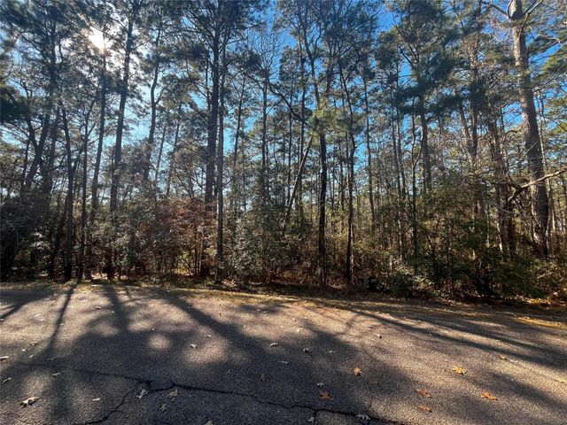 61 Sunny Hill Drive, Coldspring, TX 77331