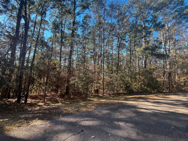 61 Sunny Hill Drive, Coldspring, TX 77331