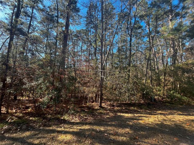 61 Sunny Hill Drive, Coldspring, TX 77331