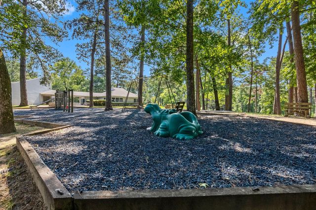 61 Sunny Hill Drive, Coldspring, TX 77331