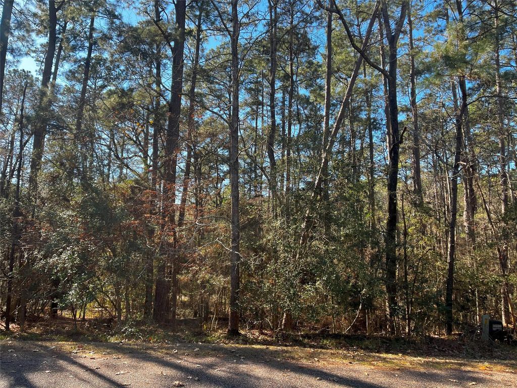 61 Sunny Hill Drive, Coldspring, TX 77331