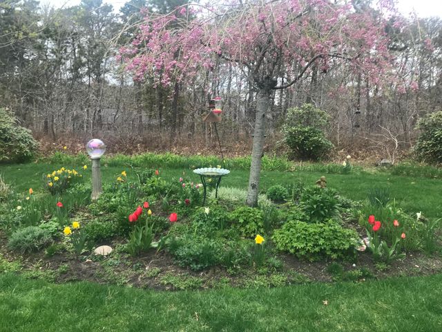 58 Tirrells Way, South Chatham, MA 02659