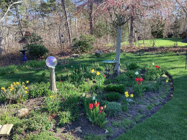 58 Tirrells Way, South Chatham, MA 02659