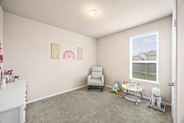 16206 Neff Park Drive, Hockley, TX 77447