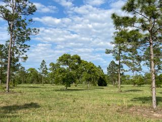 16.12 Acre Bethcar Church Road, Wagener, SC 29164