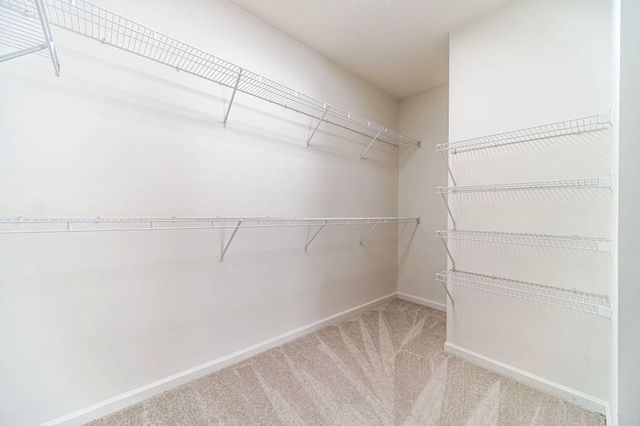 216 Brackin Trace, Grayson, GA 30017