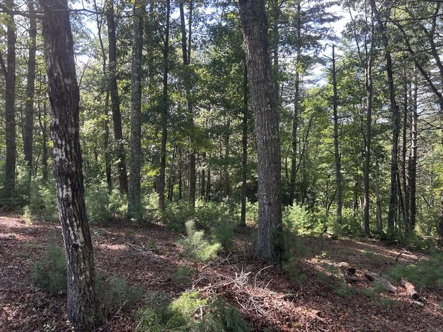 Lt 64 Harmony Way, Morganton, GA 30560