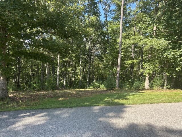 Lt 64 Harmony Way, Morganton, GA 30560
