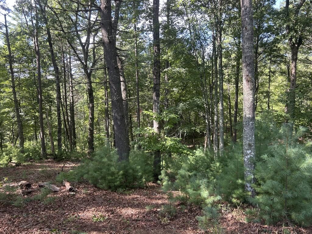 Lt 64 Harmony Way, Morganton, GA 30560