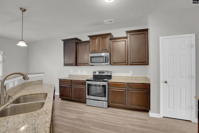 120 Longtown Place Drive, Columbia, SC 29229