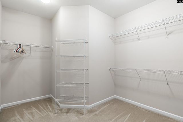 120 Longtown Place Drive, Columbia, SC 29229