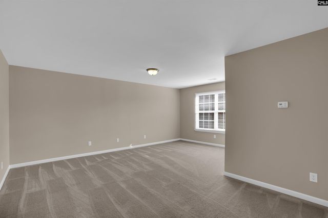 120 Longtown Place Drive, Columbia, SC 29229