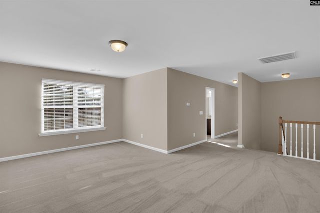 120 Longtown Place Drive, Columbia, SC 29229