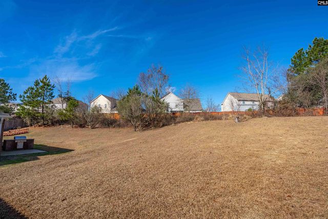 120 Longtown Place Drive, Columbia, SC 29229