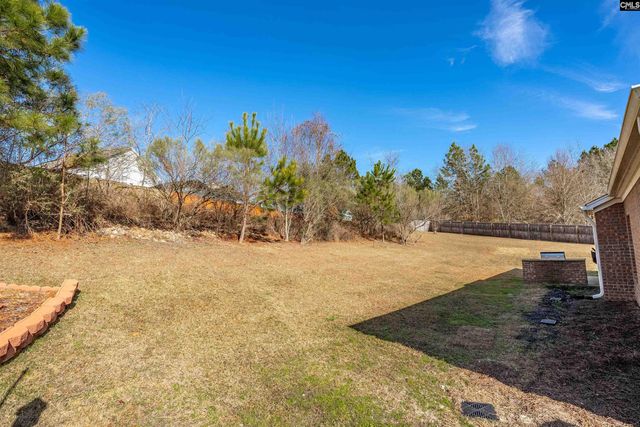 120 Longtown Place Drive, Columbia, SC 29229