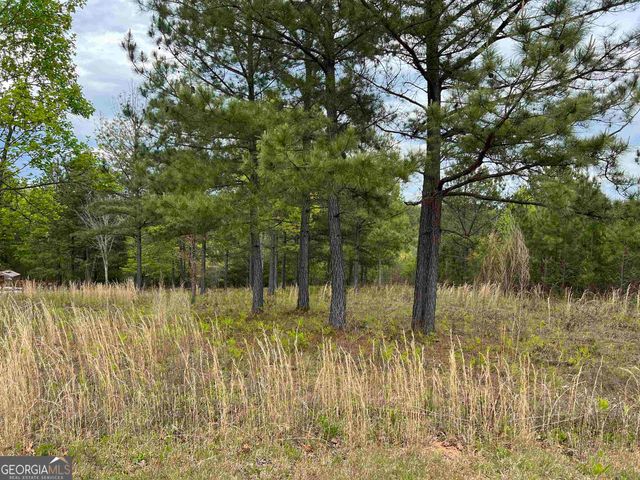 LOT 65 Village Loop, Blairsville, GA 30512