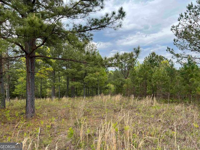 LOT 65 Village Loop, Blairsville, GA 30512