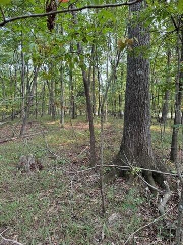 Lot 141 Camp Creek Circle, Spencer, TN 38585