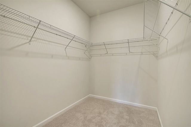 1157 Tibetan St., Conway, SC 29526