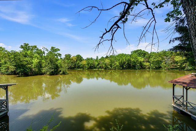 100 Breeze Inn Rd, Castalian Springs, TN 37031