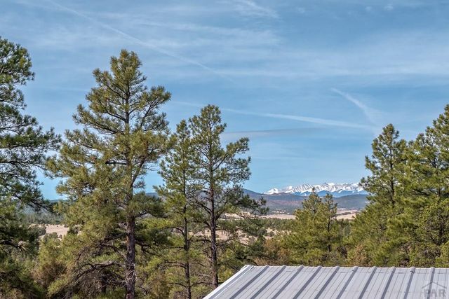 23370 Apishapa Ln, Aguilar, CO 81020