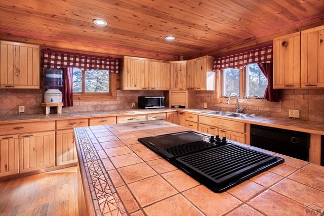 23370 Apishapa Ln, Aguilar, CO 81020