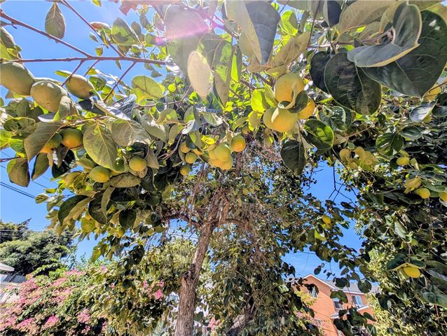 408 N Jackson Street, Santa Ana, CA 92703