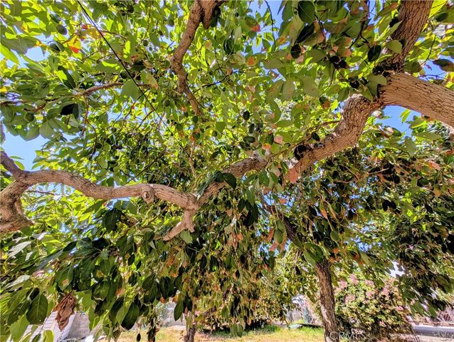 408 N Jackson Street, Santa Ana, CA 92703